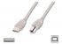 Кабель Digitus ASSMANN USB 2.0 (AM/BM) 3.0m, biege (AK-300102-030-E)